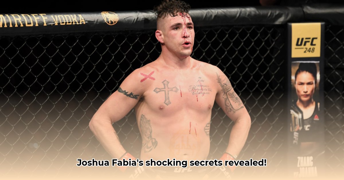 joshua-fabia-net-worth